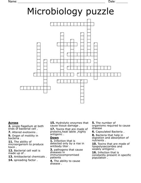 Microbiology Puzzle Crossword Wordmint