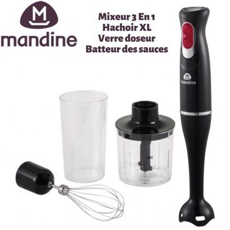 Mandine Mixeur Plongeant En En Plastique Avec Bol Mesureur Ml