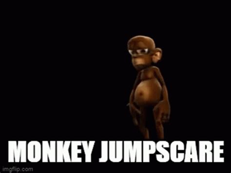 Scared Monkey Gif