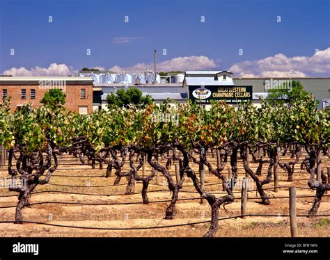 Winery, Victoria, Australia Stock Photo - Alamy