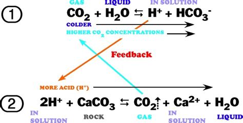 carbonate_chemistry_equations (1) – Brite Ideas Aquaponics, Hydroponics ...