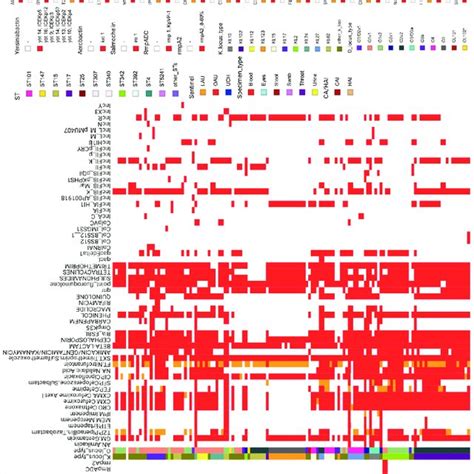 Epidemiological Data Virulence Determinants Antibiotic Profile Download Scientific Diagram