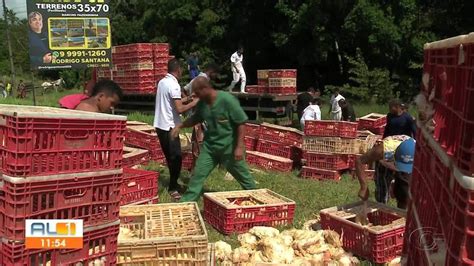 Caminhão tomba e parte de carga de frangos morre na AL 101 Alagoas G1