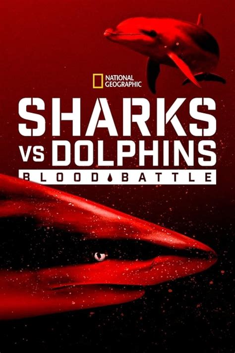 Sharks Vs Dolphins Blood Battle Tv Movie 2020 Imdb