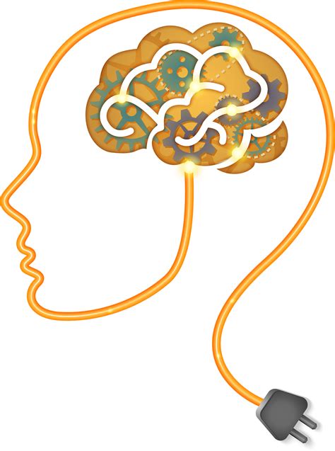 Brain Png Transparent Image Download Size 1946x2619px