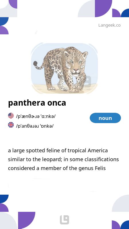 Definition & Meaning of "Panthera onca" | Picture Dictionary