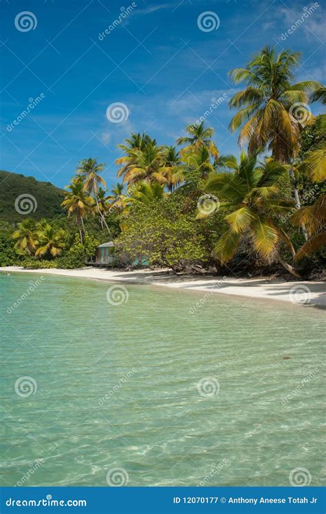 Cinnamon Bay - St John stock image. Image of forest, caribbean - 12070177