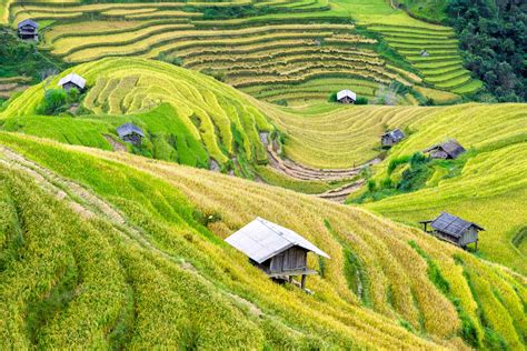 Truly Beautiful Hanoi Mu Cang Chai Yen Bai Tour Days