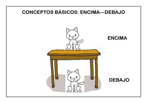 Conceptos B Sicos Fichas Para Educaci N Infantil