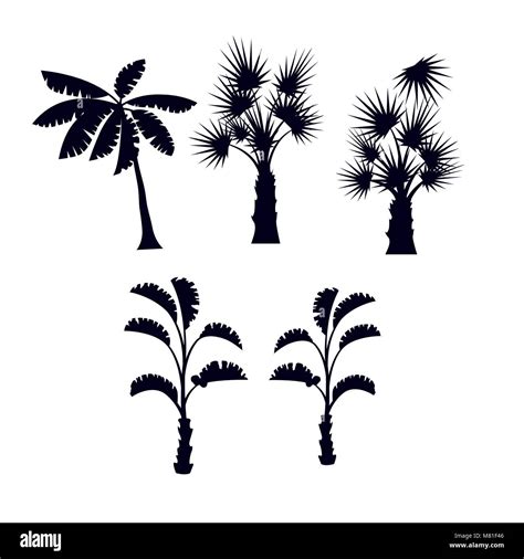 Tropical Palm Trees Silhouette Set Stock Vector Image And Art Alamy