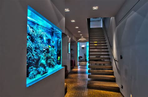 Amazing Wall Aquarium Acuario De Casa Peceras En Casa Y Dise O De