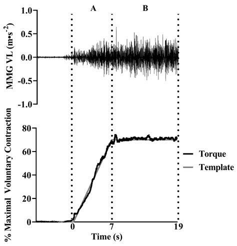 Jfmk Free Full Text Influence Of Pennation Angle And Muscle