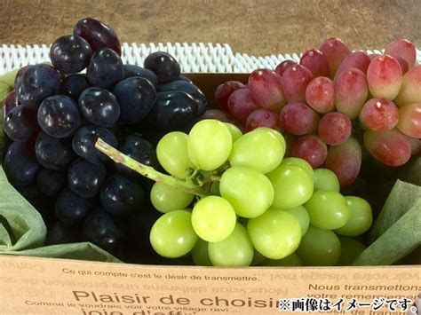 【楽天市場】【ふるさと納税】皮ごと食べられる ブドウ詰合せ 約6～7房（約4kg）《かんばやしブドウ園》 2021年発送 ※9月中旬頃より順次