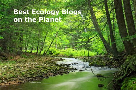 35 Best Ecology Blogs and Websites To Follow in 2023