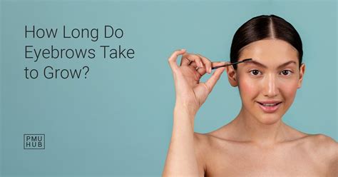 Skin Type And Pmu How Different Skin Types Affect Brow Tattoos Artofit