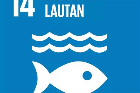 Mengenal Tujuan 14 Sdgs Ekosistem Lautan