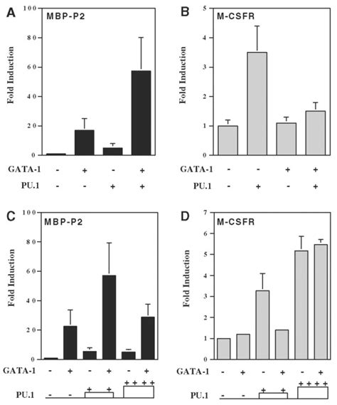 Novel Combinatorial Interactions of GATA 1 PU 1 and C EBPε Isoforms