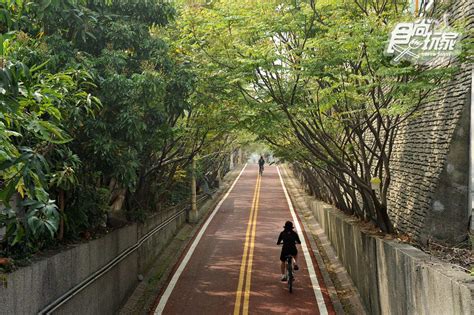 全台15條最美單車路線 順遊：《龍貓》森林隧道、水上自行車道、海堤夢幻夕陽 食尚玩家