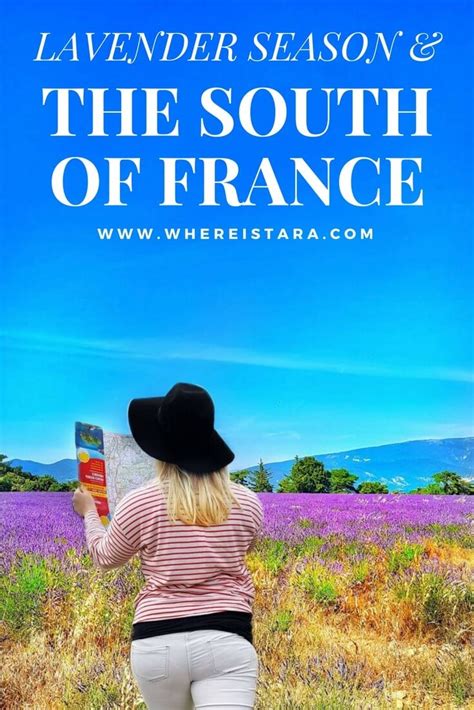 A Guide to Lavender Season in Provence France - Where Is Tara?