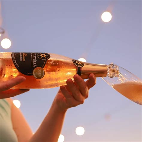 Espumante Brut Ou Moscatel - Casa Tertúlia - Espumante Demi-Sec, Brut ou Moscatel: entenda as ...