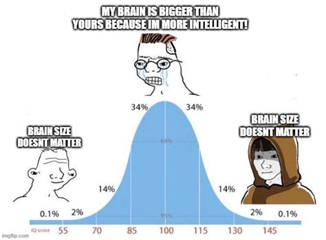 Big Booty, Big Brains: My Tech Journey From Zero to Hero - l6xzp7q