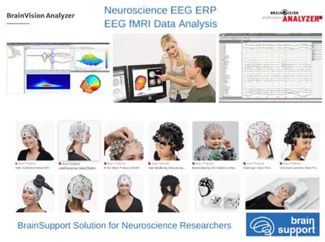 Neuroscience Eeg Erp Fmri Publication