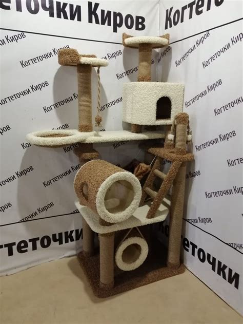 Игровой комплекс для кошек | Cat room, Toilet paper holder, Place card ...
