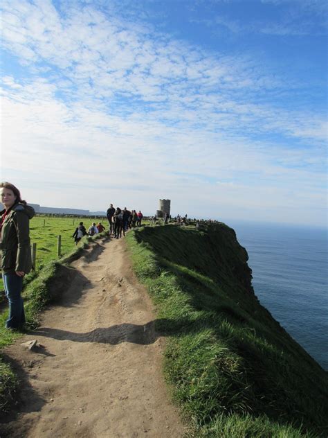 Dicky Bird's Nest : Cliffs of Moher, Ireland