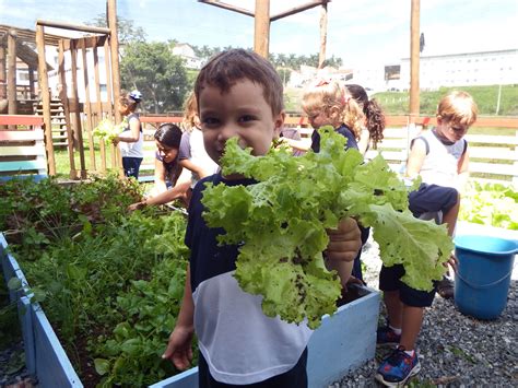 Projeto Horta Na Escola 11