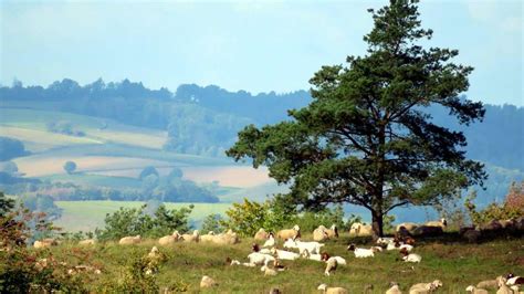 Landschaftspflegeverband In Hersfeld Rotenburg Wird Gegr Ndet