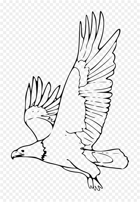 Free Black And White Eagle Clipart Illustrator Clip Art Library