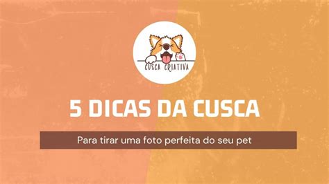 Dicas Da Cusca Para Tirar A Foto Perfeita Do Seu Pet Cusca Criativa