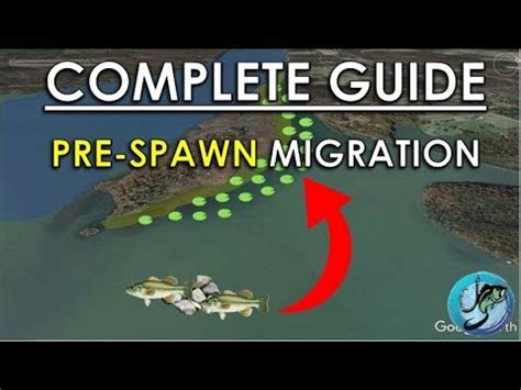 Easy Guide To Pre Spawn Bass Fishing Best Spring Fishing Areas YouTube