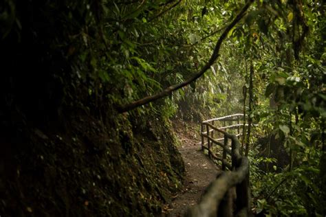 Top 9 Best Hiking Trails in Costa Rica | Unforgettable Adventures Await!