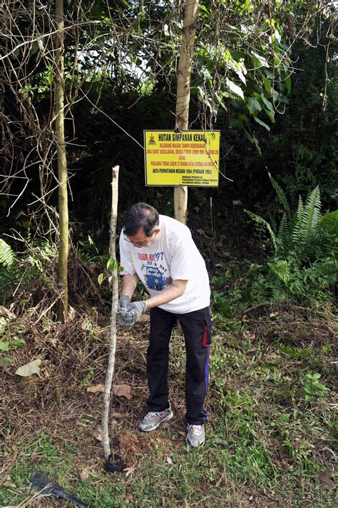 GE Staff Plant 300 Trees At KDCF A COMMUNITY WITH A FOREST AT ITS HEART