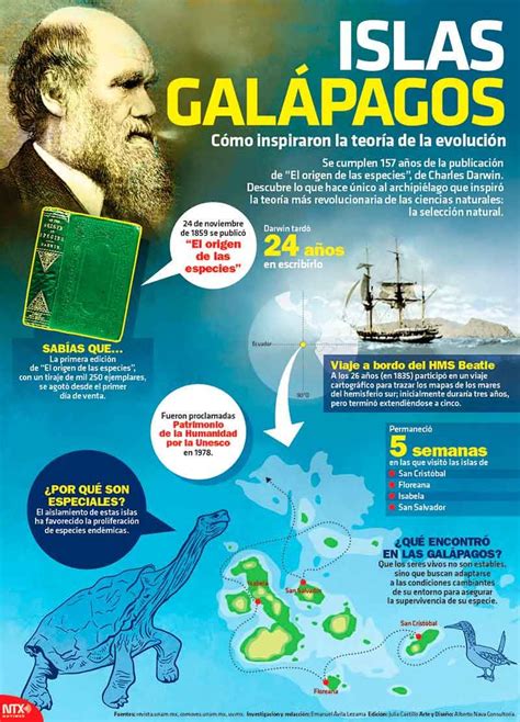 Islas Galápagos Cómo Inspiraron La Teoría De La Evolución Teoría De