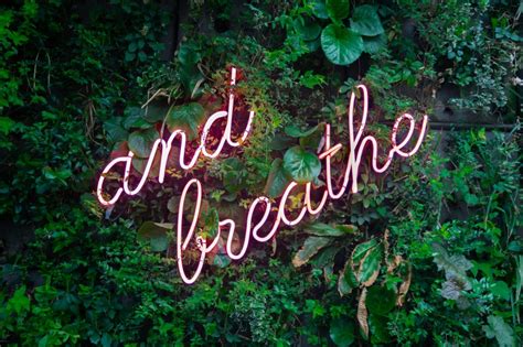 calm anxiety dr jamie barnier