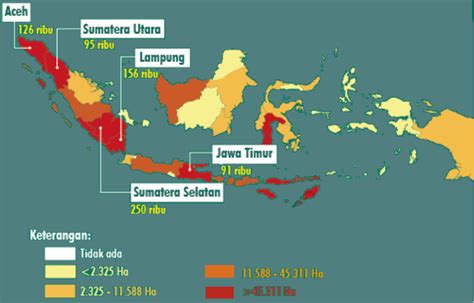 Komoditas Kopi Lcdi