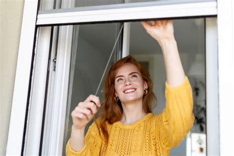 Beneficios De Instalar Mosquiteras En Puertas Y Ventanas