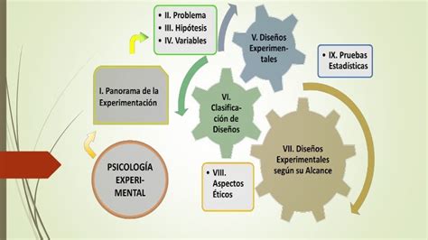 Psicología experimental