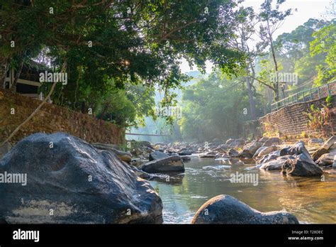 light through the tree at Ranong hot spring beside waterfall Ranong hot ...