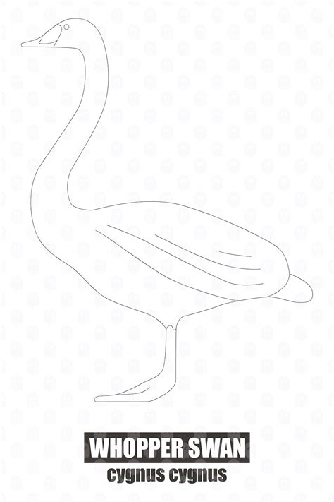 Archade A Whopper Swan Cad Drawings