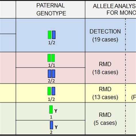 (PDF) Fetal Genotyping in Maternal Blood by Digital PCR: Towards NIPD ... 