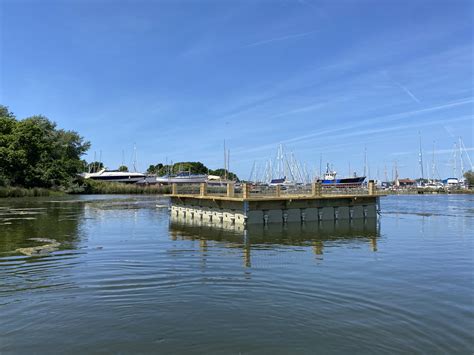 Tern Nesting Rafts | Aquatic Consultancy