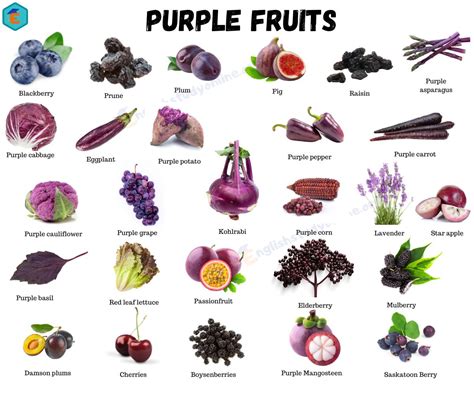 purple fruits  list  majestic fruits  purple english study