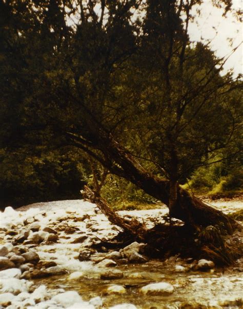 Sommerurlaub In Bayern 1977 Flixx Ak Flickr