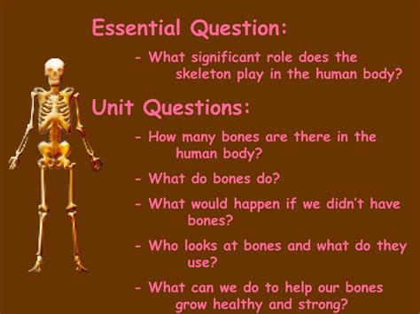 Ppt The Human Skeletal System Powerpoint Presentation Free Download Id1310639