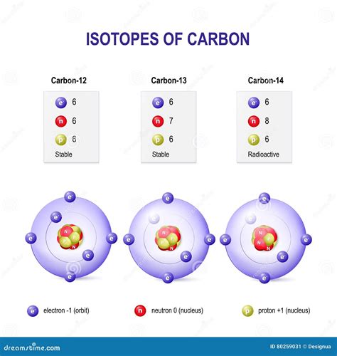 Isotopi Di Carbonio Illustrazione Vettoriale Illustrazione Di Disegno