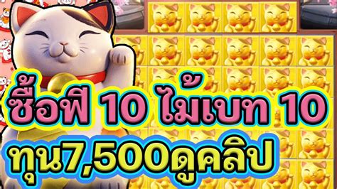 Lucky Neko Slot Pg Youtube