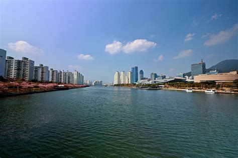 Busan Centum City Haeundae Beach - Free photo on Pixabay - Pixabay